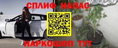 винт Гагарин