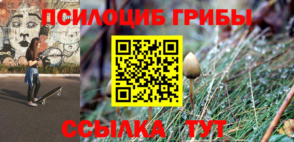 Искитим  Псилоцибиновые грибы Cubensis  цена   Вход с VPN 